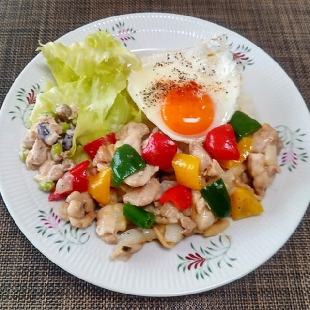 台風が次々と・・・たまごもきになりますね・・・チキンのねぎ塩炒め♪・・♪