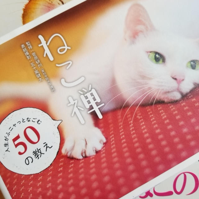 ここ最近のマイブーム