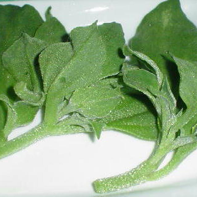 新しい野菜→アイスプラント