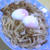 焼きうどん２