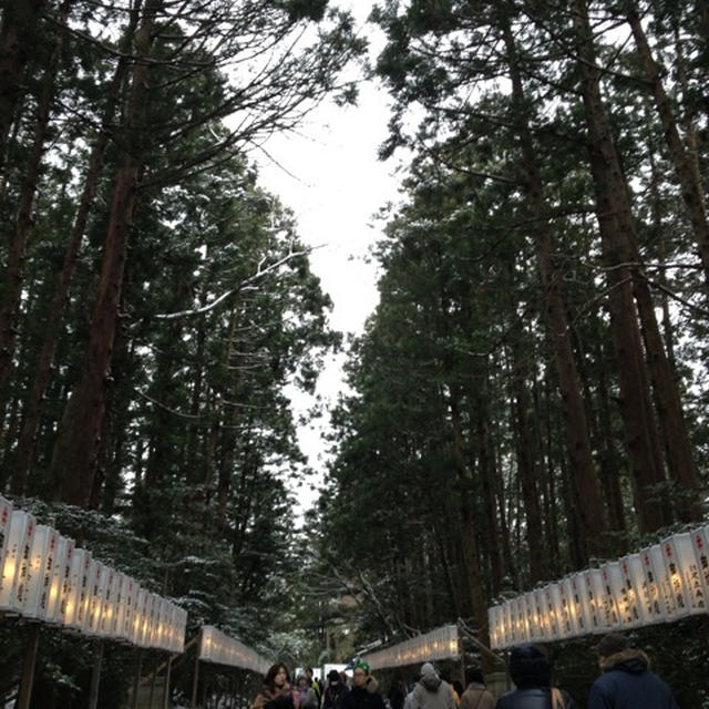 新潟旅行②　～初詣は新潟弥彦神社♪縁結びパワースポット