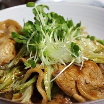 豚肉と野菜のデミソース炒め