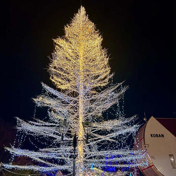 2回もやったクリスマスパーティー