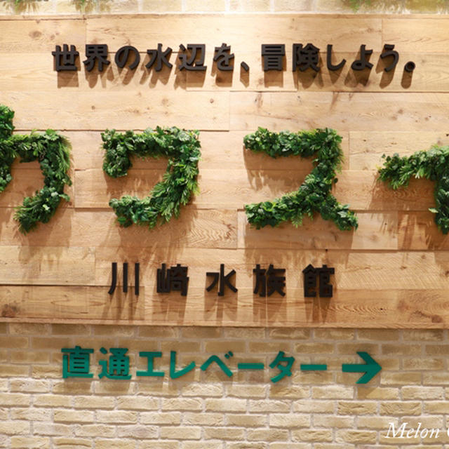 川崎水族館「カワスイ」開業しました！☆夜の2部へいってきました♪