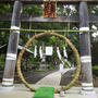 高麗神社（こまじんじゃ）に七夕のお参り。