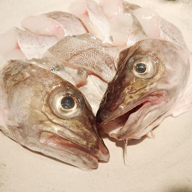 鱈ちり鍋