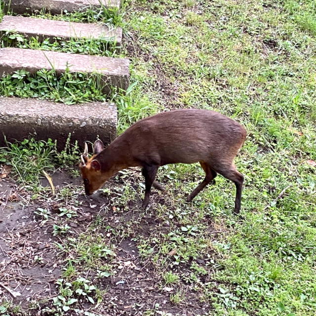 キョンが寄ってくる。
