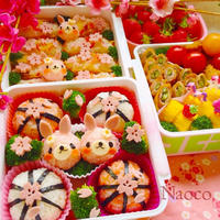 ちょこんとまん丸うさぎちゃん♡今年の家族でお花見弁当〜♬