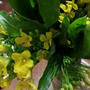 アスパラ菜の花