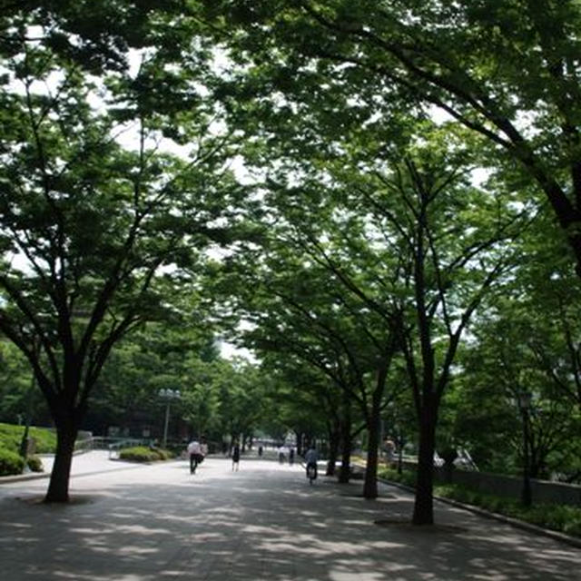 都会のオアシス。