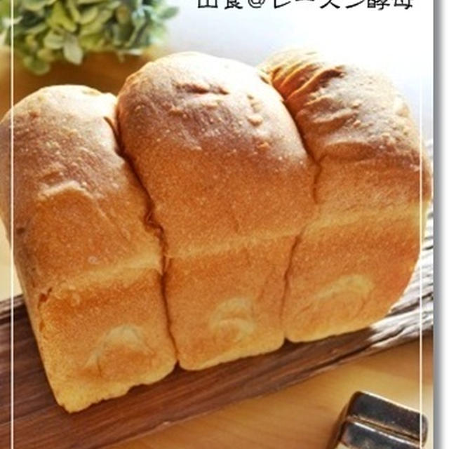 やさ～しく作る山食と桜酵母！？