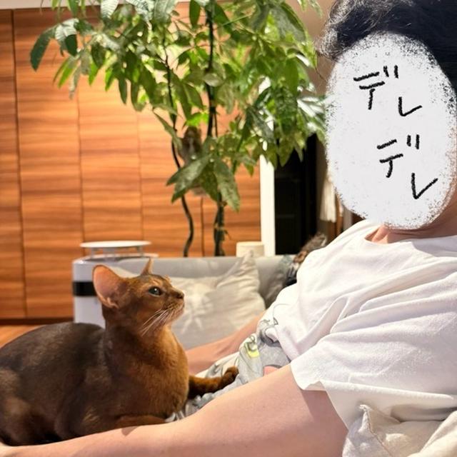 パパをメロメロにする、りすたん