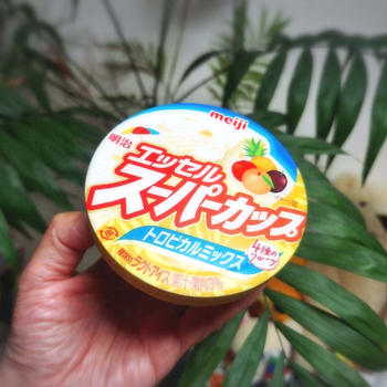 アイスクリームの日と豚肉の生姜焼き