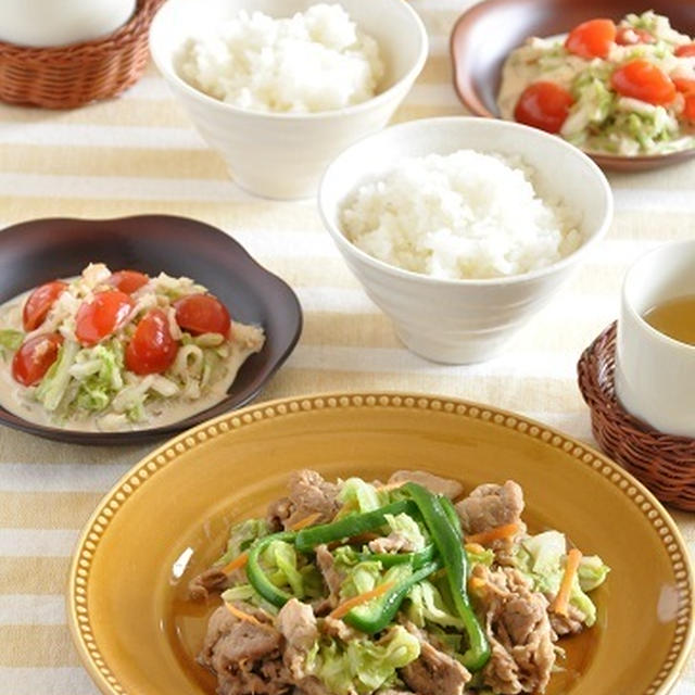 自炊で食費節約☆節約おかず大集合♡1週間献立カタログ