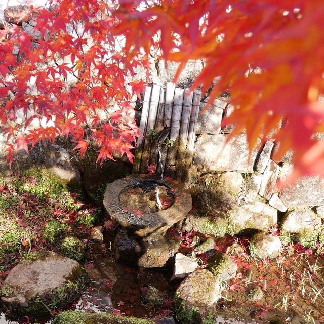 満願寺の紅葉#最近撮った写真は