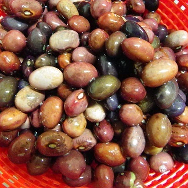 乾燥豆から調理しましょう。