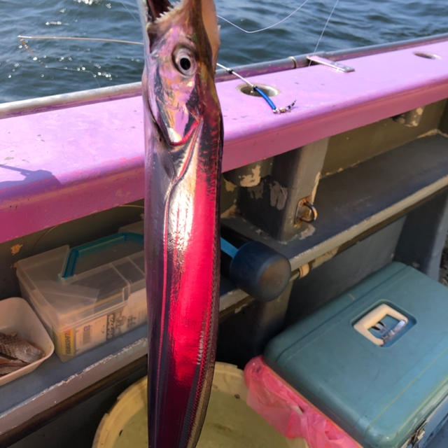 タチウオ釣り