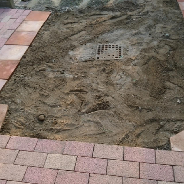 新しい庭