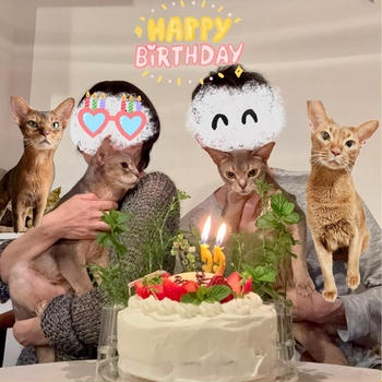 だんなさま作のバースデーケーキと、お誕生日ハンバーグ