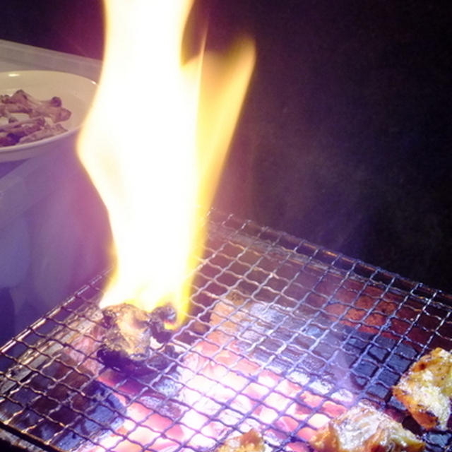 炎上しちゃって、そりゃ大騒ぎさ