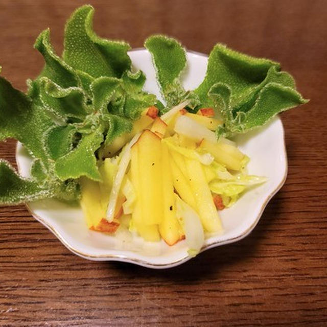 GONさんのお野菜チャレンジ・アイスプラント