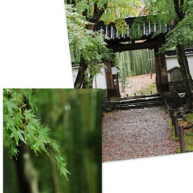 地蔵院、鈴虫寺