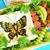 蝶々サンド　海苔とデコ2種類サンドレシピ♪