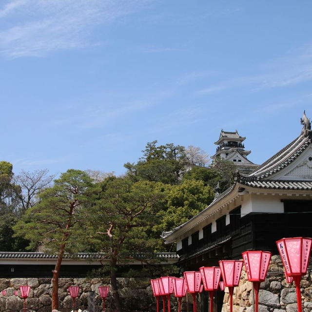 満開の桜と高知城