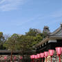 満開の桜と高知城