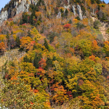 ⭐️紅葉狩り（層雲峡と青い池）⭐️