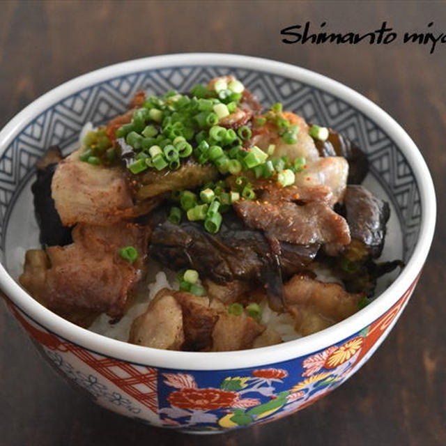 ナスと豚バラ肉のめんつゆポン酢丼