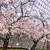 ４月・５月ご案内♪