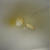 香味油：にんにく」、「1.0mm×1.2mmの細麺」の 実食！！