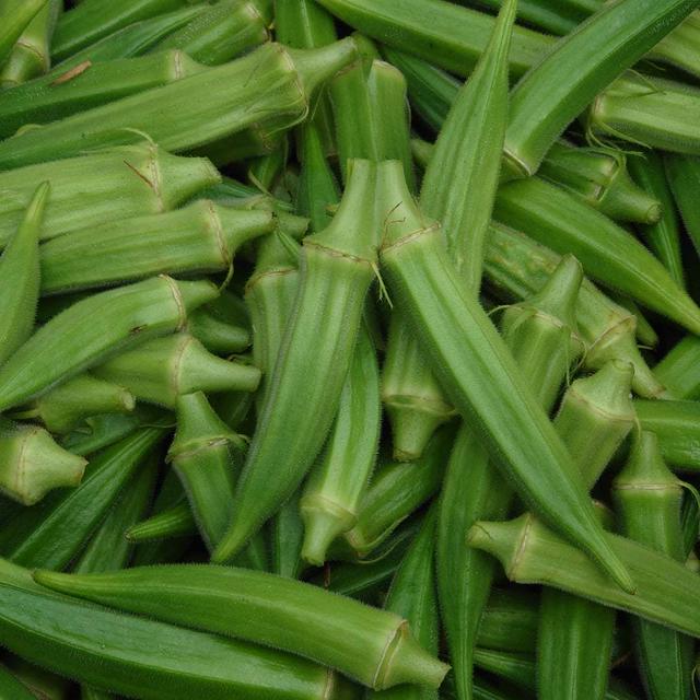 オクラの脇芽で収穫増量