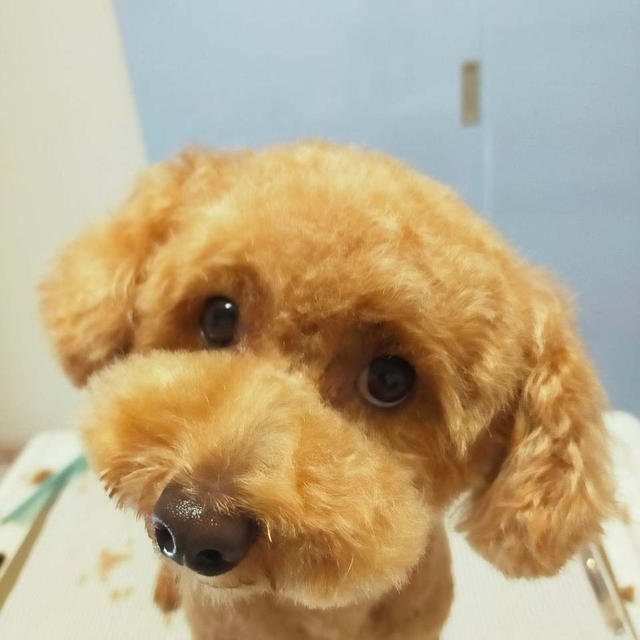 今日で1年