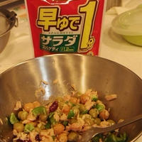 缶詰スパサラ(レシピブログ)