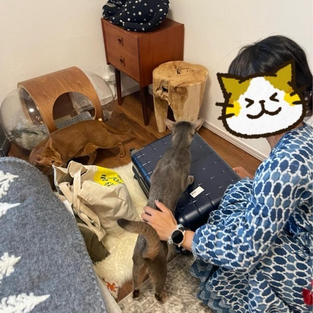 りょこさんが、帰って来た♪
