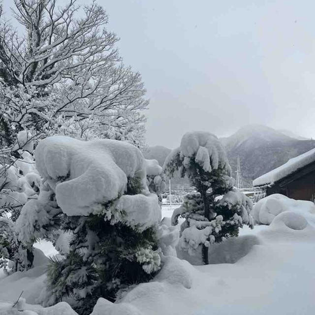 大雪と朝ご飯