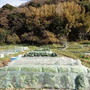 葉山農園（12月上旬）☆巡回指導と収穫野菜