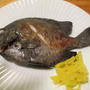 【旨魚料理】イシガキダイの塩焼き