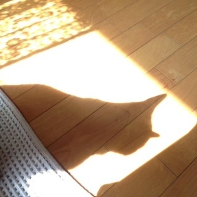 そういえば忘れていたけど