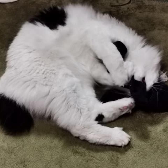 脱ぎたてホカホカは格別！？