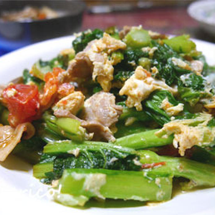 生でも食べられる。山東菜のおすすめレシピ14選の画像