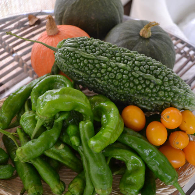 ♪★ゴーヤチャンプル＆しし唐のつゆだく煮★山盛りの取れたて夏野菜！♪