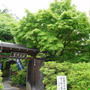 京都嵐山散策　女子旅
