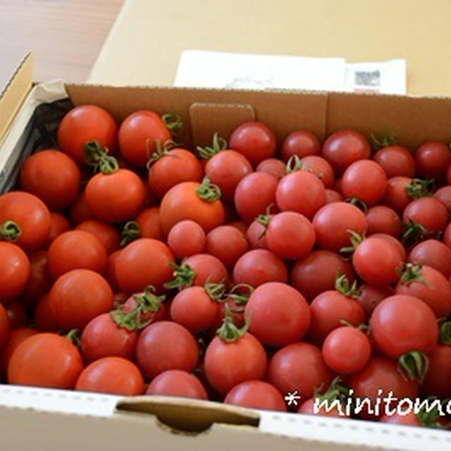 有機栽培ミニトマトで作る簡単おつまみたち