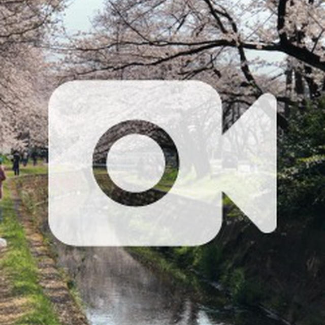 桜のチーズトースト　de　ワンプレートモーニング。。。