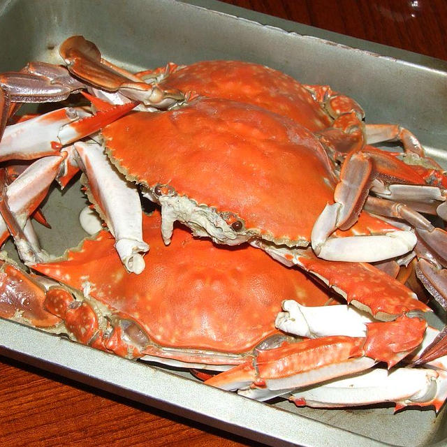 ワタリガニの晩ご飯