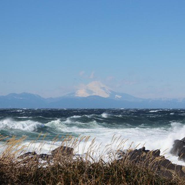 冬の城ケ島