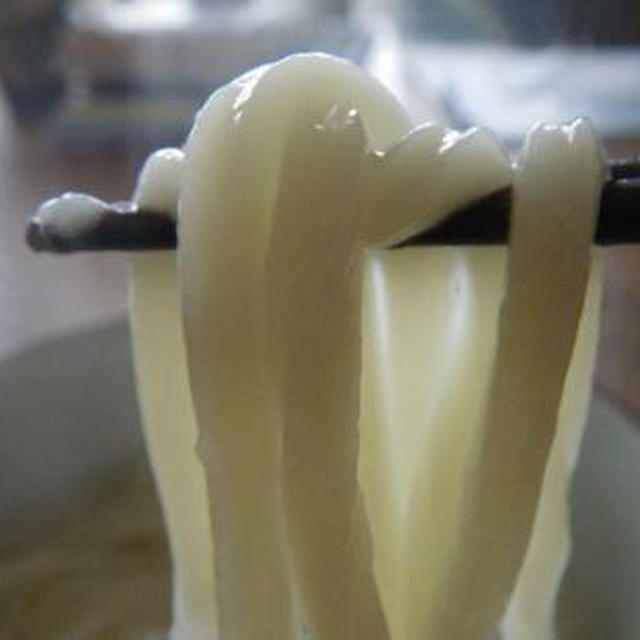 讃岐うどん幽玄の釜揚げ